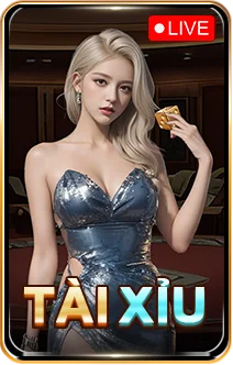 ảnh banner