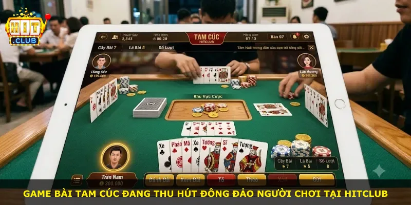 Game bài Tam Cúc đang thu hút đông đảo người chơi tại Hitclub