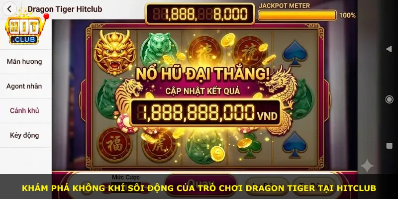 Khám phá không khí sôi động của trò chơi Dragon Tiger tại Hitclub