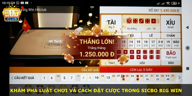 Khám phá luật chơi và cách đặt cược trong Sicbo Big Win