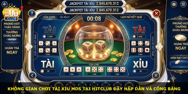 Không gian chơi Tài Xỉu Md5 tại Hitclub đầy hấp dẫn và công bằng